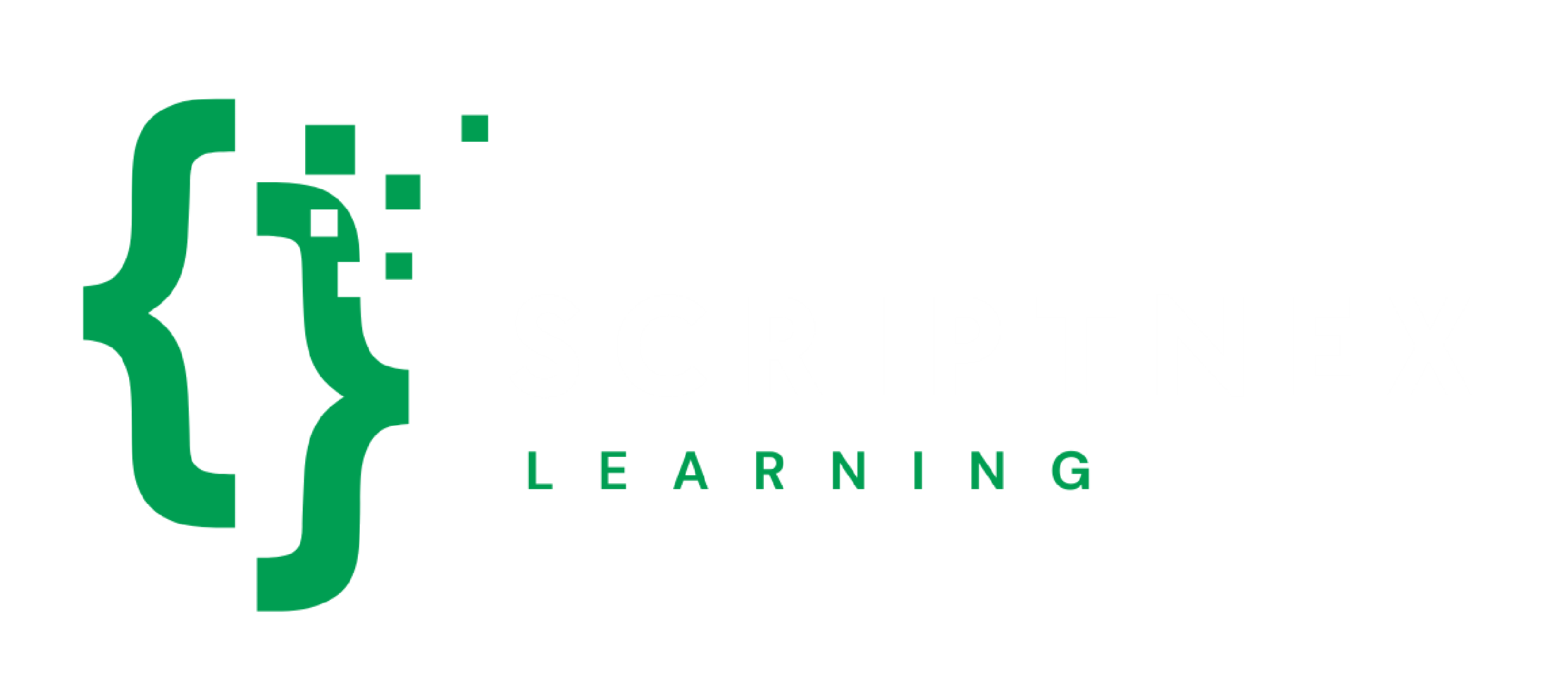 ScriptNex Logo